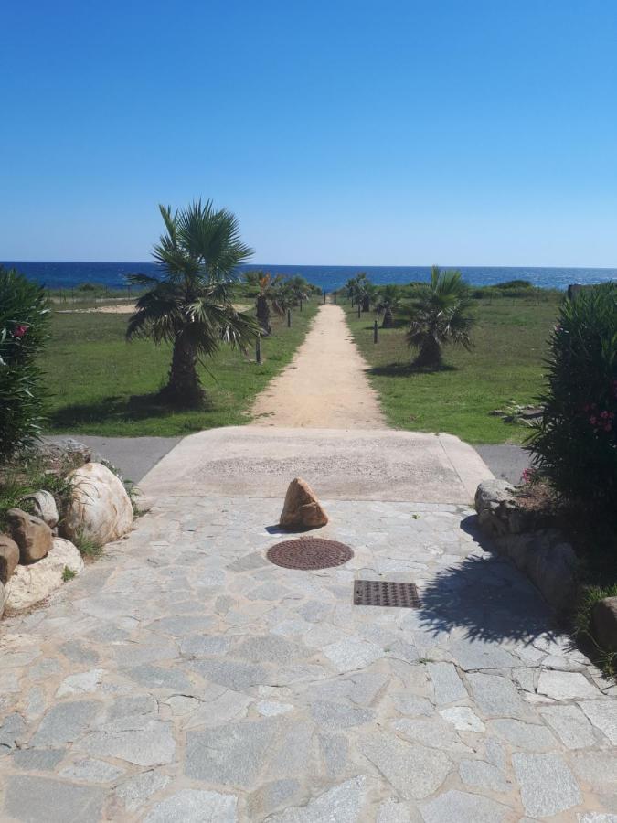 Villa Climatisee A Nuciola Prunete Entre Mer, Montagne Et Piscine Cervione Eksteriør bilde