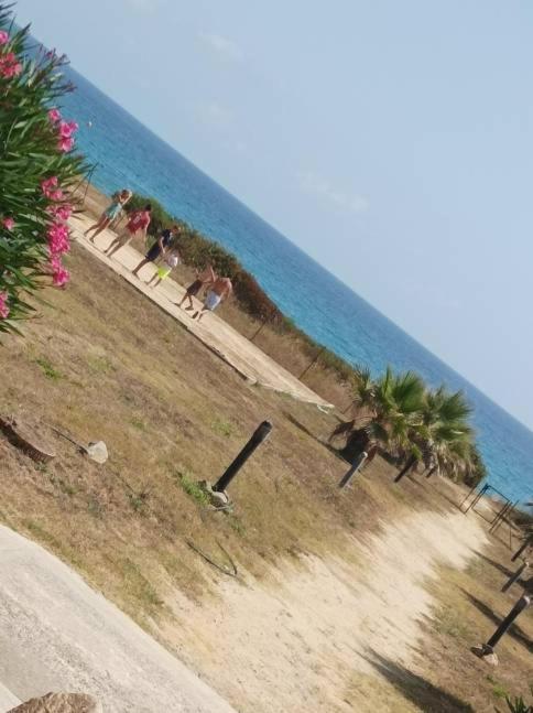 Villa Climatisee A Nuciola Prunete Entre Mer, Montagne Et Piscine Cervione Eksteriør bilde