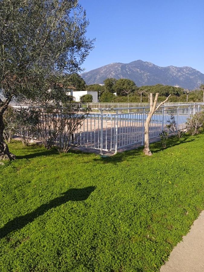 Villa Climatisee A Nuciola Prunete Entre Mer, Montagne Et Piscine Cervione Eksteriør bilde