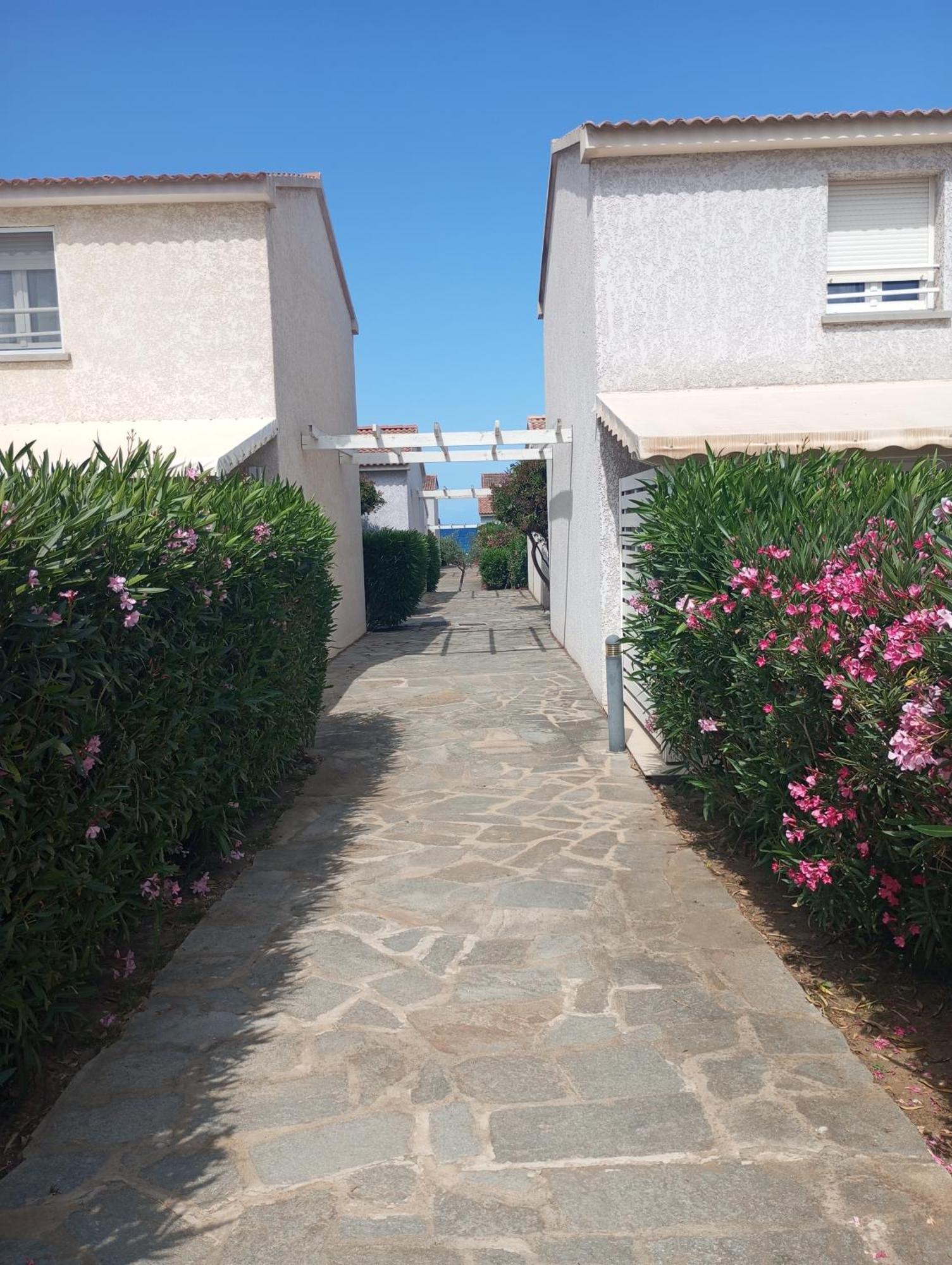 Villa Climatisee A Nuciola Prunete Entre Mer, Montagne Et Piscine Cervione Eksteriør bilde