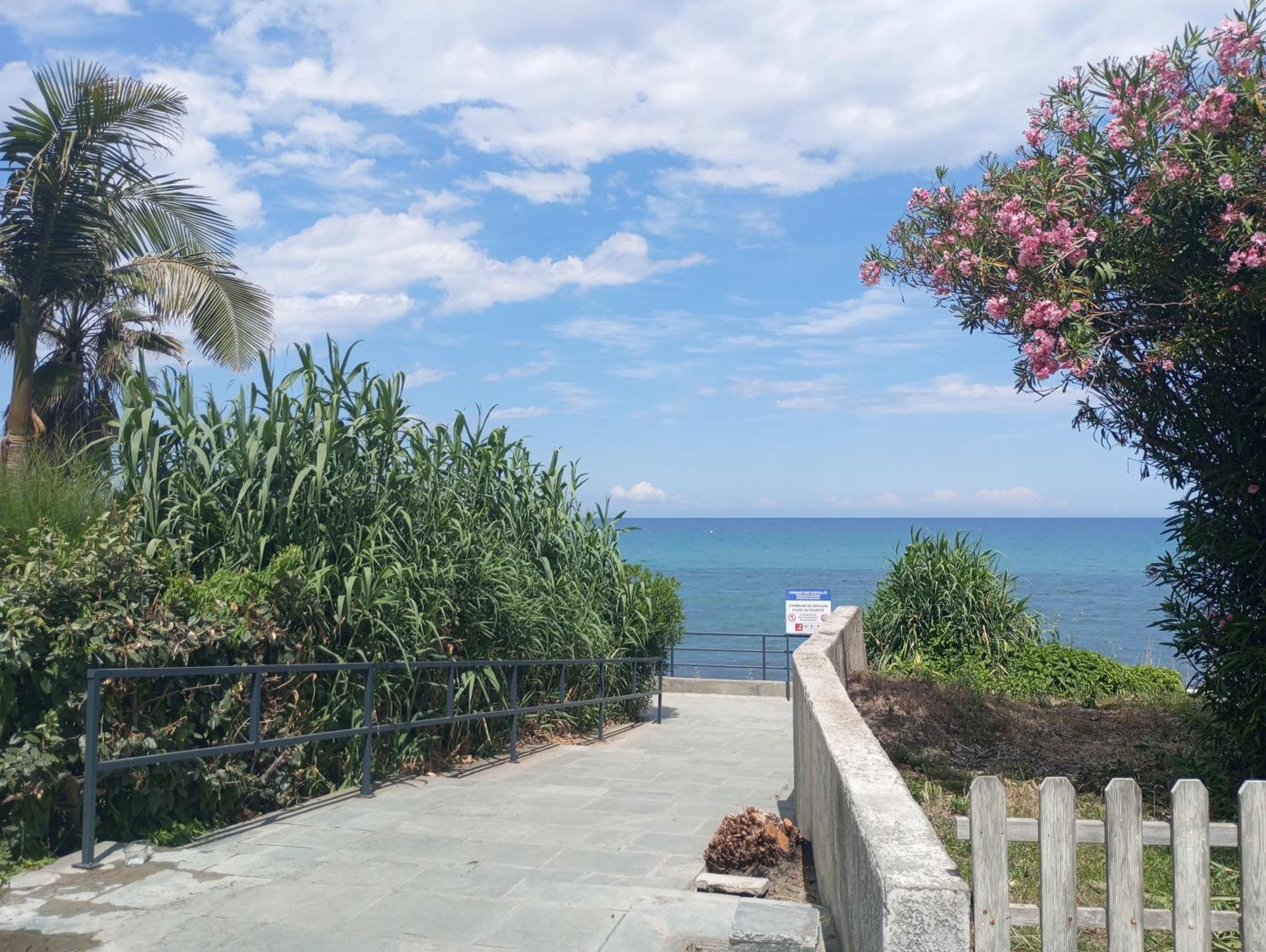 Villa Climatisee A Nuciola Prunete Entre Mer, Montagne Et Piscine Cervione Eksteriør bilde
