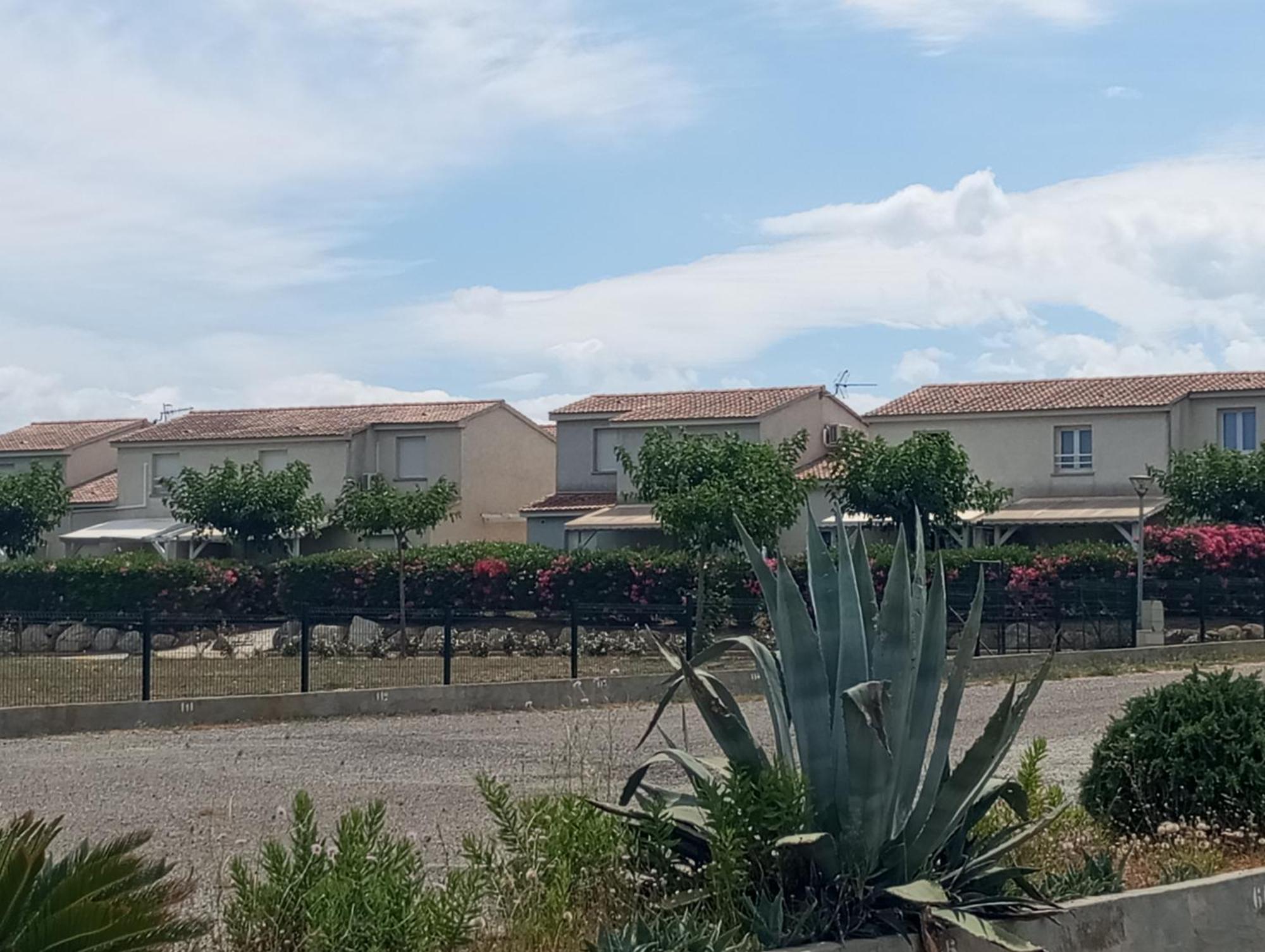 Villa Climatisee A Nuciola Prunete Entre Mer, Montagne Et Piscine Cervione Eksteriør bilde