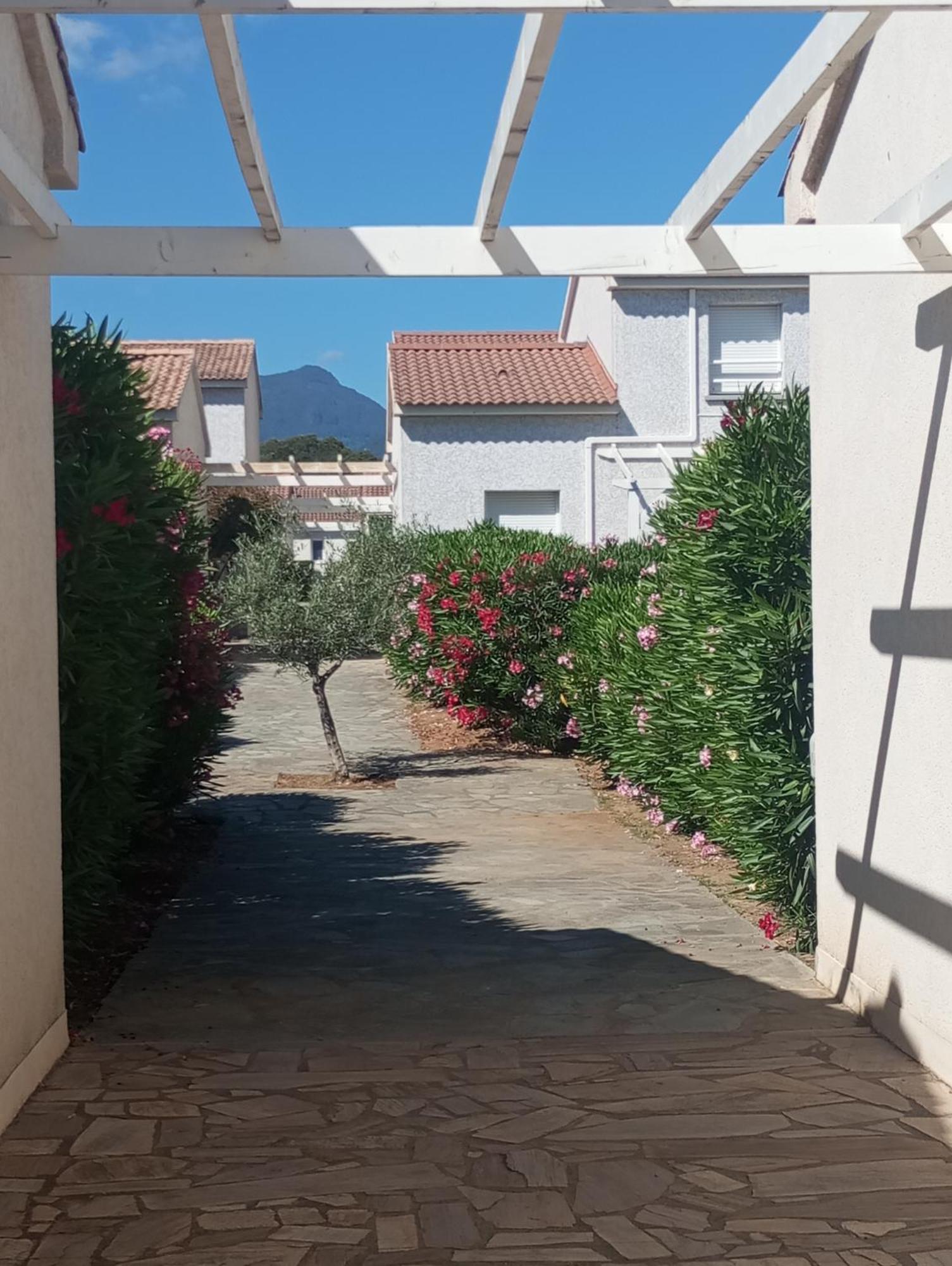 Villa Climatisee A Nuciola Prunete Entre Mer, Montagne Et Piscine Cervione Eksteriør bilde