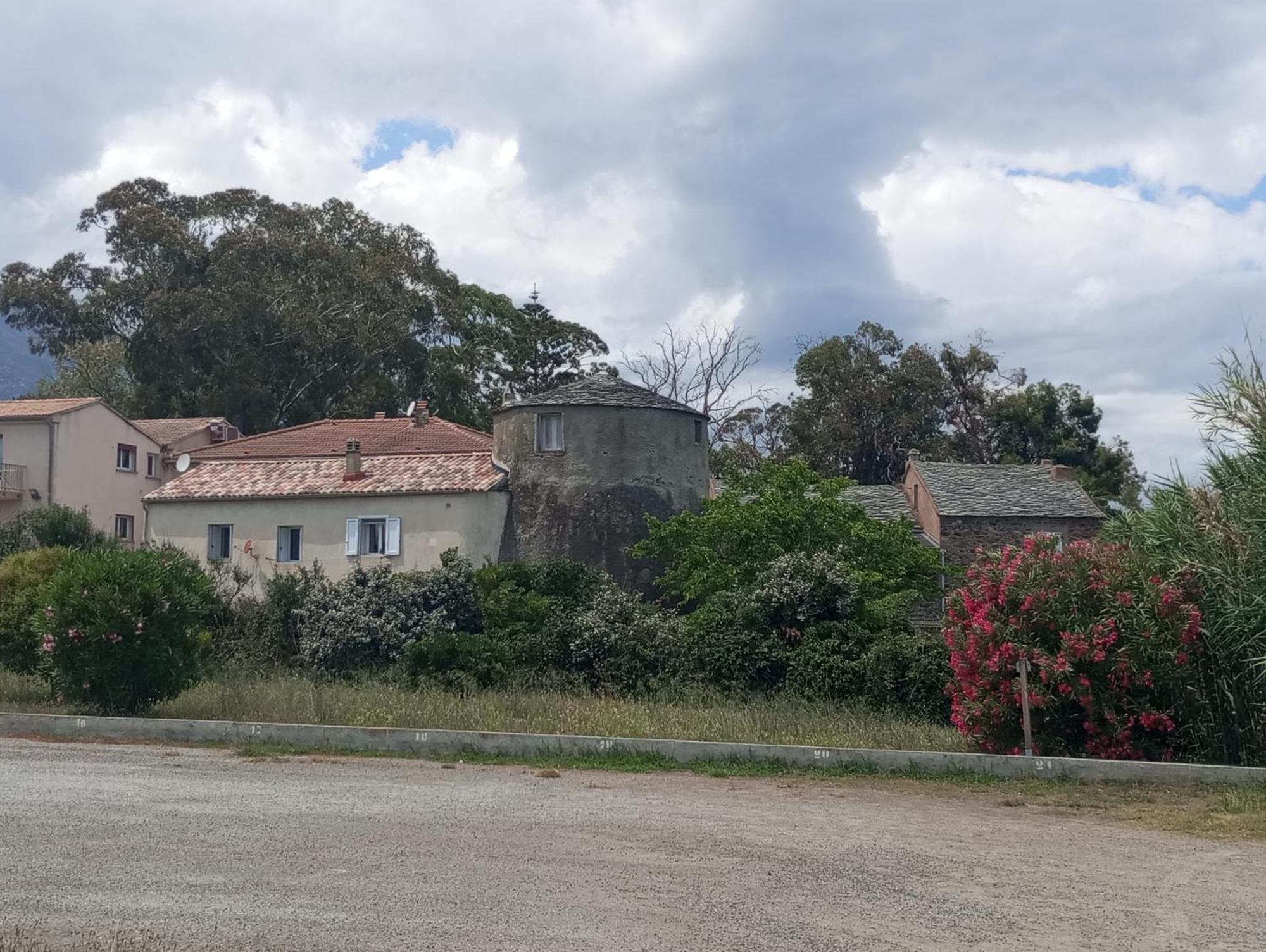 Villa Climatisee A Nuciola Prunete Entre Mer, Montagne Et Piscine Cervione Eksteriør bilde
