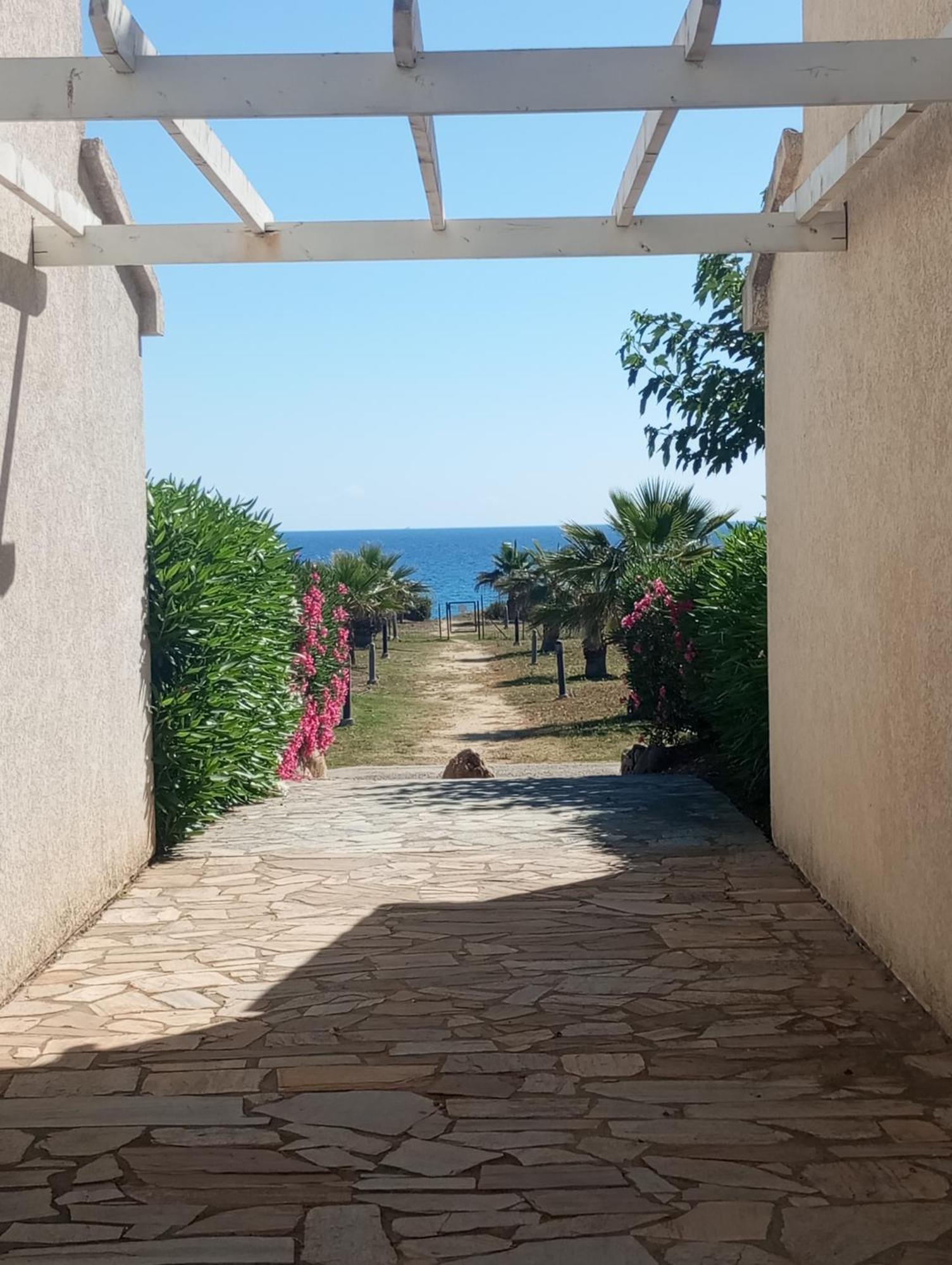 Villa Climatisee A Nuciola Prunete Entre Mer, Montagne Et Piscine Cervione Eksteriør bilde